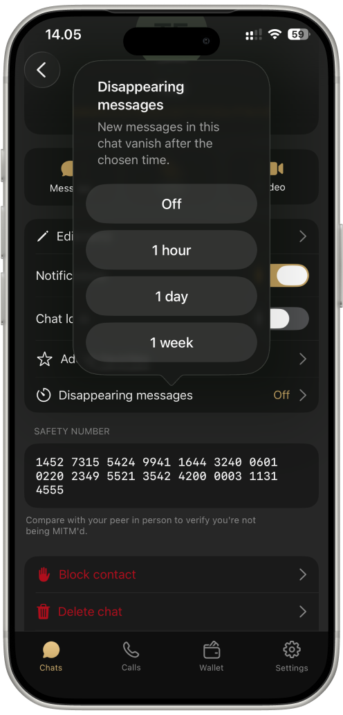 Disappearing Messages